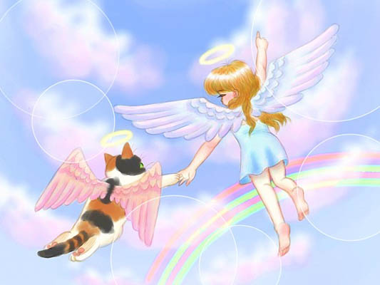 天使になった猫の絵